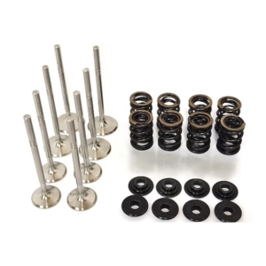 Dual Racing Valve Spring Kit VW 1.8T 20v ( Exhaust )