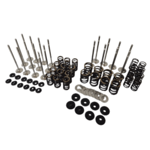 Racing Valve Spring Kit + Forged Valves Audi 1.8T 20v