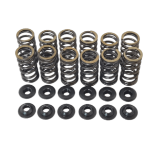 Racing Valve Spring Inlet Audi 1.8T