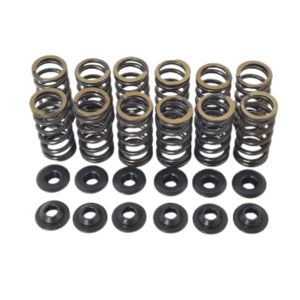 Racing Dual Valve Spring Kit – Opel 8v